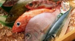 Черв'яки в рибі: типи гельмінтів та їх небезпека